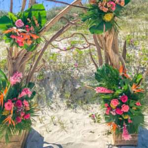 Driftwood Wedding Arch