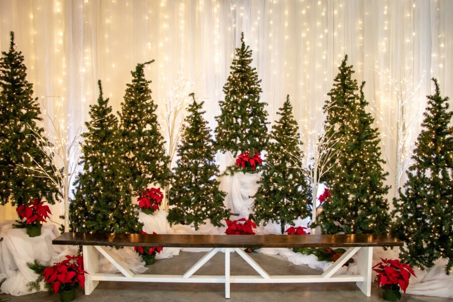 Corporate-Holiday-Party-Decor