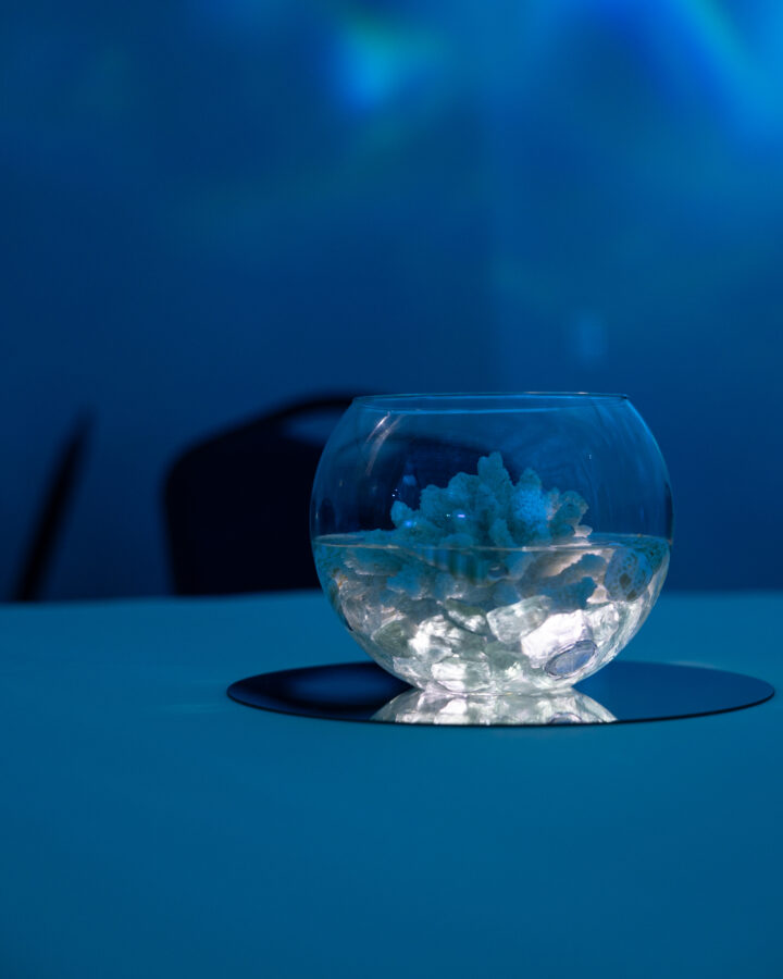 Under_The_Sea_Themed_Prom_Decor_Props_Event_Rentals_Jacksonville