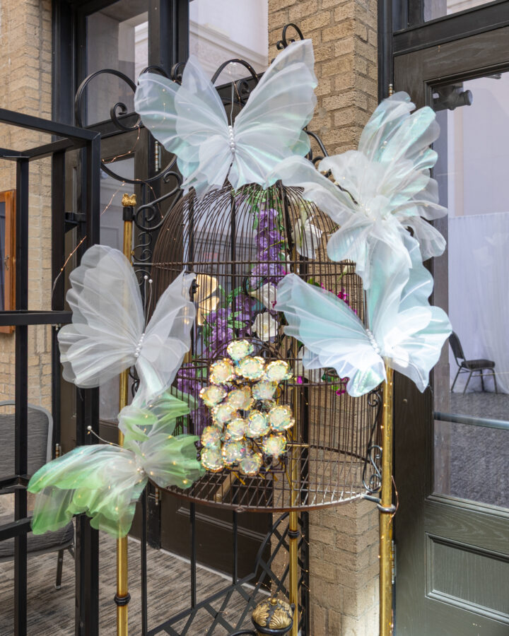 Garden_of_Utopia_Prom_Themed_Event_Jacksonville_Florida