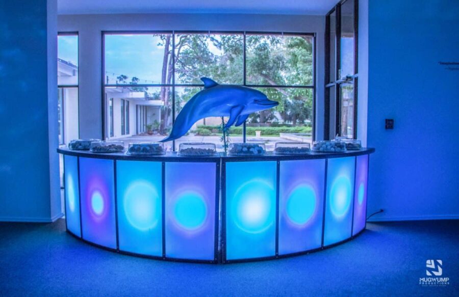 Underwater-Dolphin-Themed-Bar-Event-Decor