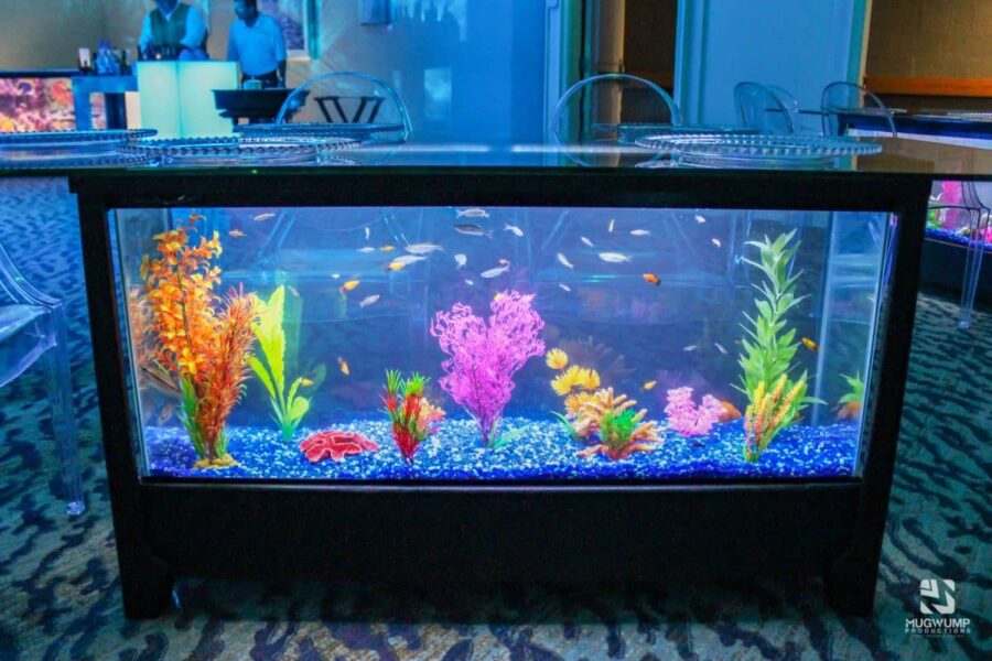 Aquarium-Table-Underwater-Themed-Event-Decor-Jacksonville