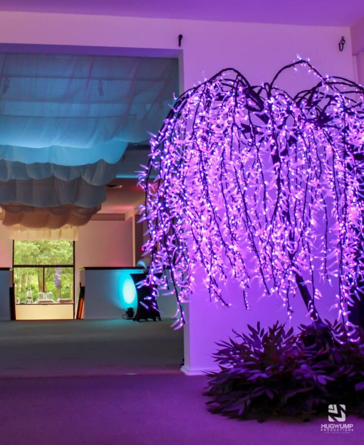Enchanted-Themed-Event-Ceiling-Fabric-Treatment