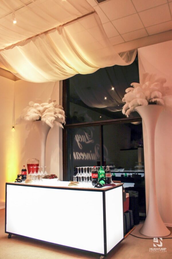 Glow-Bar-White-Ostrich-Feather-Tree-Ceiling-Fabric-Treatment