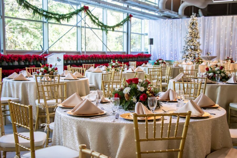 Holiday-Party-Decor-Gold-Chairs-Twinkle-Lights-Red-Flowers