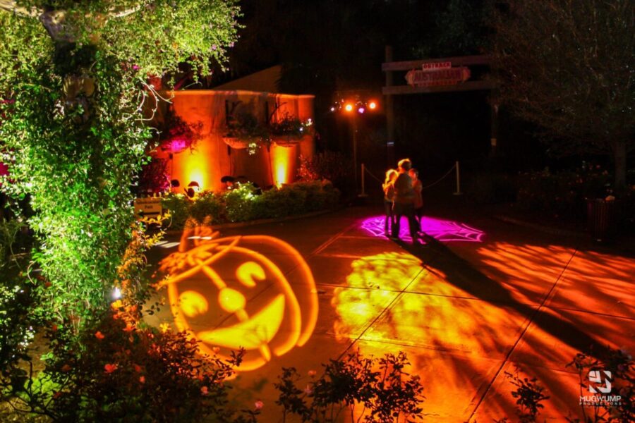 Jack-O-Lantern-Halloween-Wall-Projection