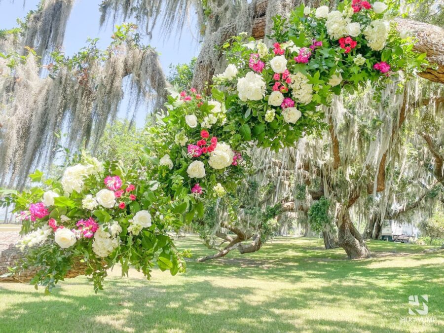 Oak-Tree-Wedding-Venue