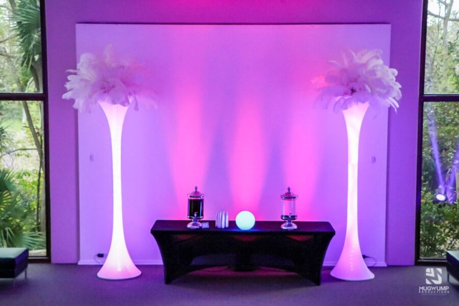 Ostrich-Feather-Decor