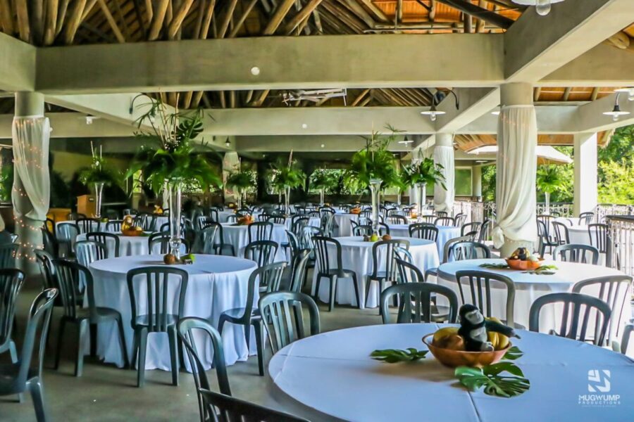 Outdoor-Jungle-Themed-Event-Decor