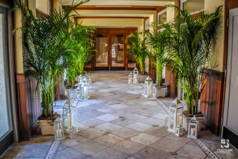 Palm-Tree-And-Lantern-Lined-Walkway