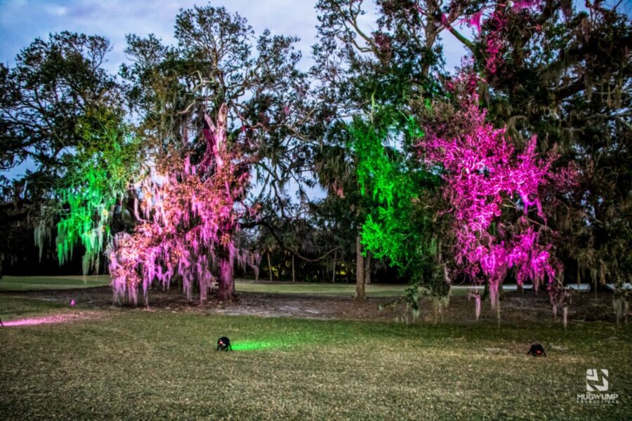 Pink-And-Green-Outdoor-Lighting